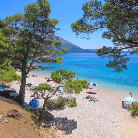 In 44021 شقة مْليني